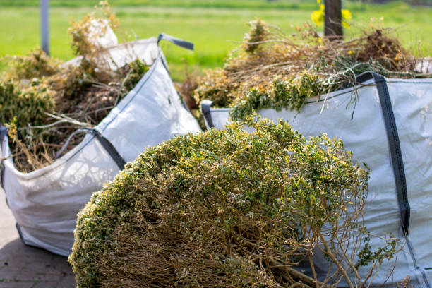 Best Office Junk Removal  in Chinle, AZ