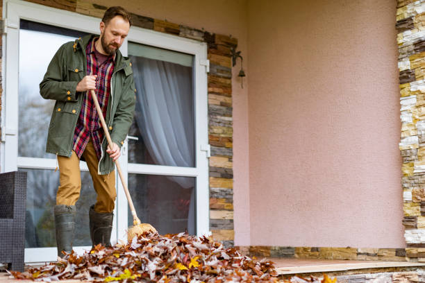Best Professional Junk Removal  in Chinle, AZ